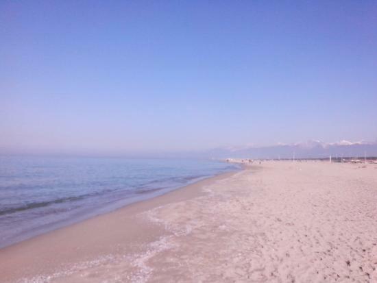 Casavacanza Villa D Funny Viareggio Eksteriør bilde